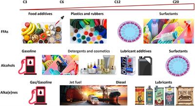 Opportunities and Challenges for Microbial Synthesis of Fatty Acid-Derived Chemicals (FACs)